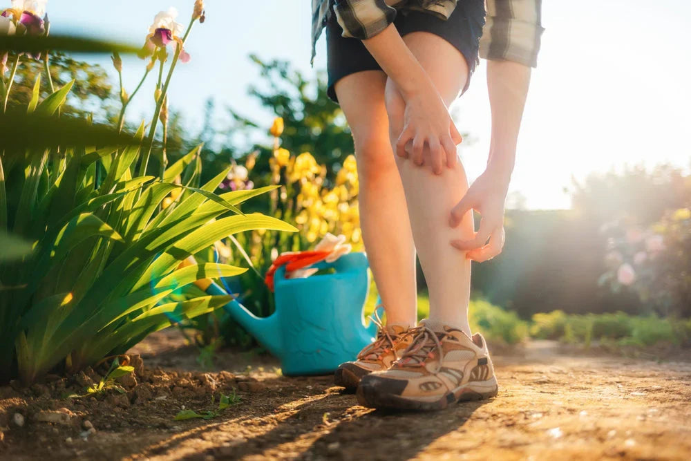 RoKai: So Much More than Sun Protection